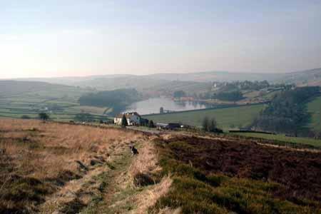 Guest house Rosebud Haworth